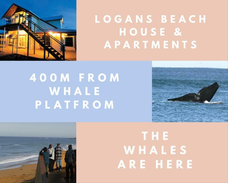 Logans Beach Apartments - The Loft Warrnambool Buitenkant foto